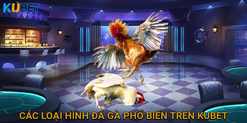 Các Loại Hình Đá Gà Phổ Biến Trên KUBET