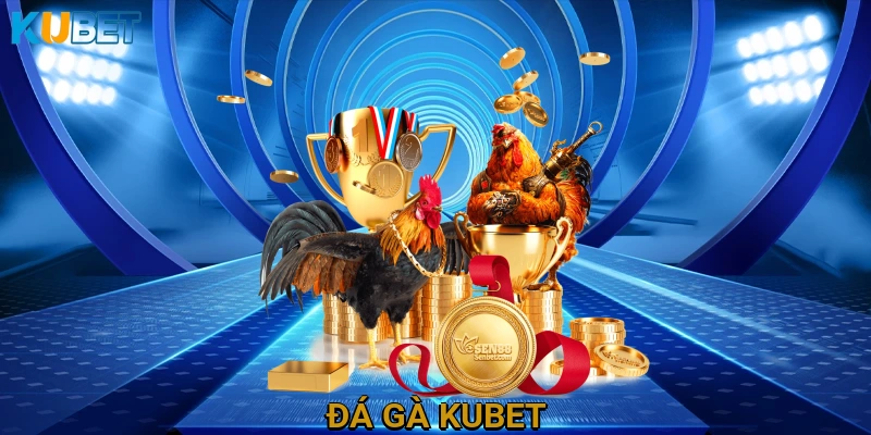 Đá gà KUBET