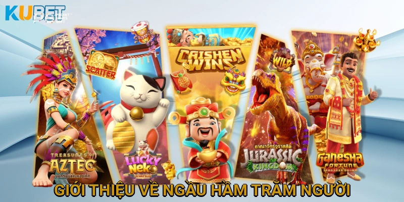 Giới Thiệu Về Ngầu Hầm Trăm Người