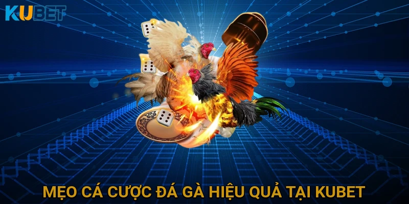Mẹo Cá Cược Đá Gà Hiệu Quả Tại KUBET