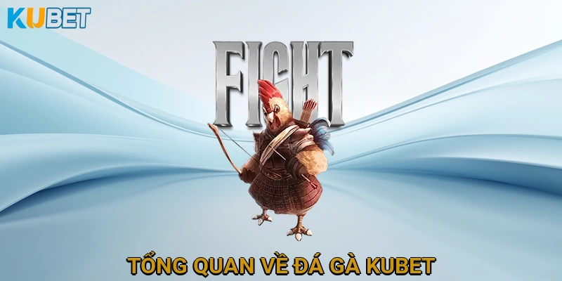 Tổng Quan Về Đá Gà KUBET