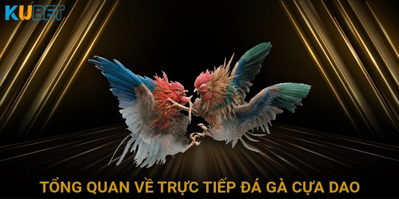 Tổng Quan Về Trực Tiếp Đá Gà Cựa Dao